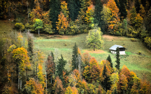 1755946 (a): :1920x1200